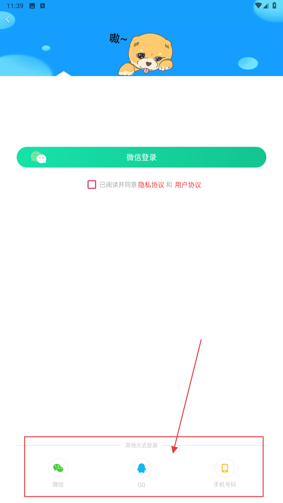 内个段仔