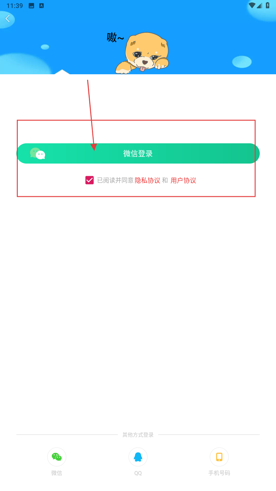 内个段仔
