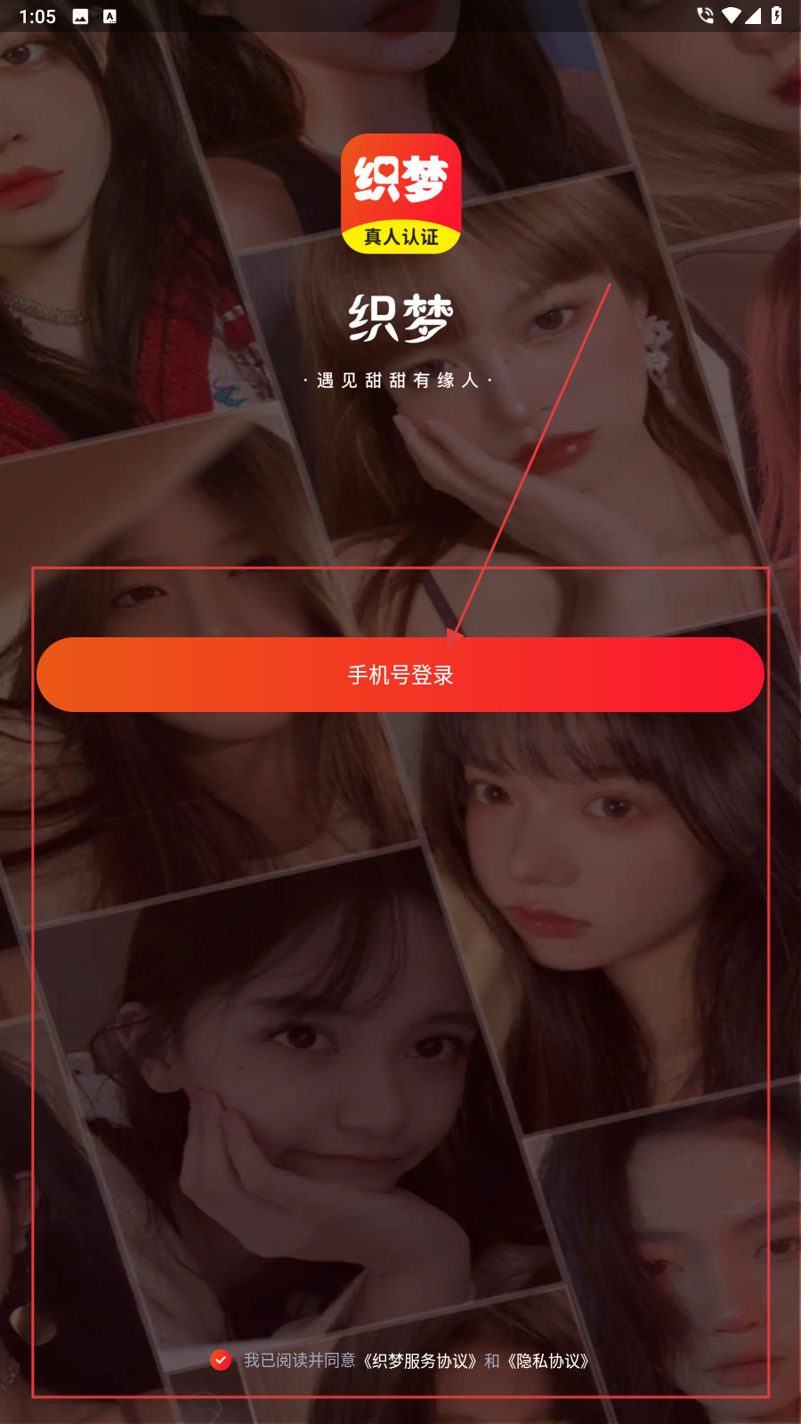 织梦交友