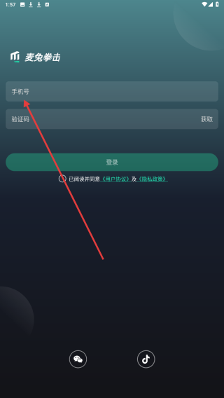 麦兔拳击