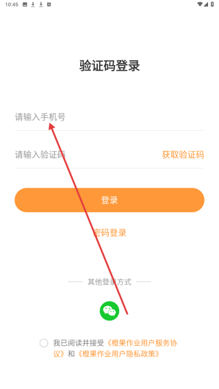 橙果校本