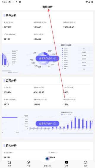 睿兽分析