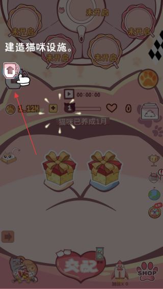 云撸猫咪