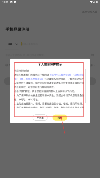 映兔
