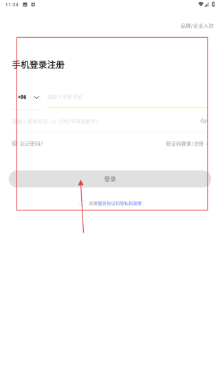 映兔