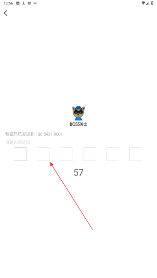 Boss骑士