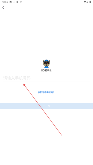 Boss骑士
