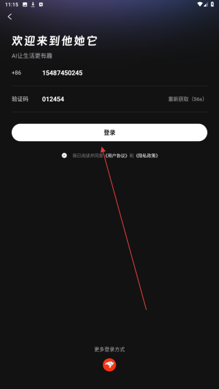 他她它