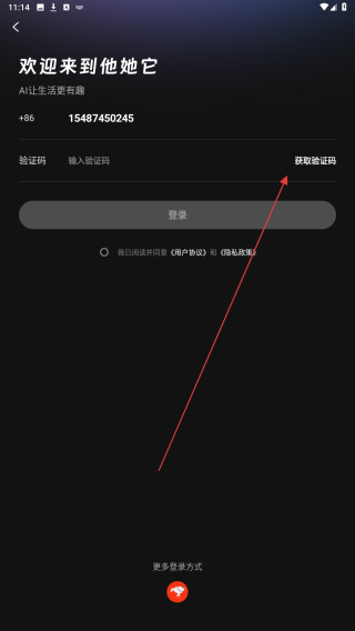 他她它