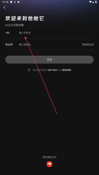 他她它