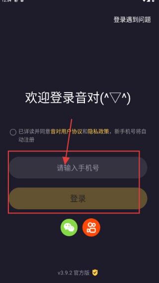 音对