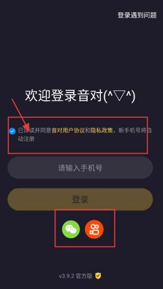 音对