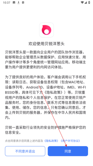 贝锐洋葱头