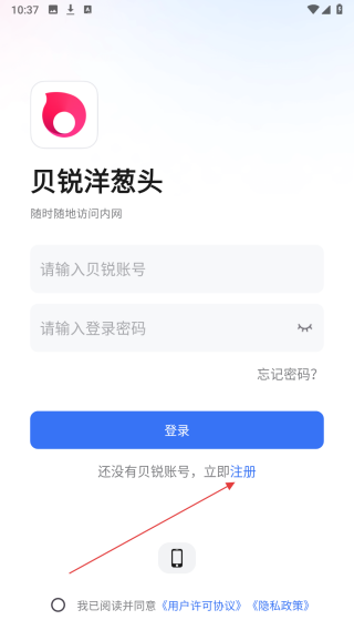 贝锐洋葱头