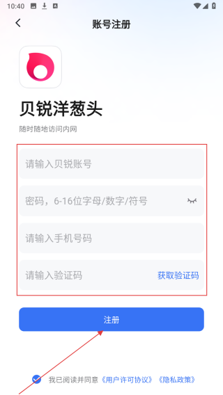 贝锐洋葱头