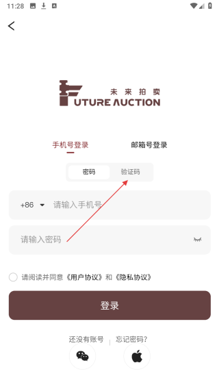未来拍卖