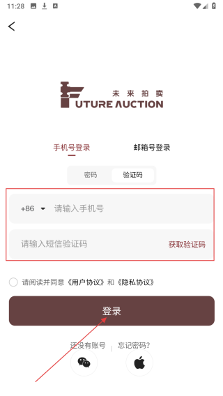 未来拍卖