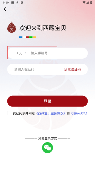 西藏宝贝