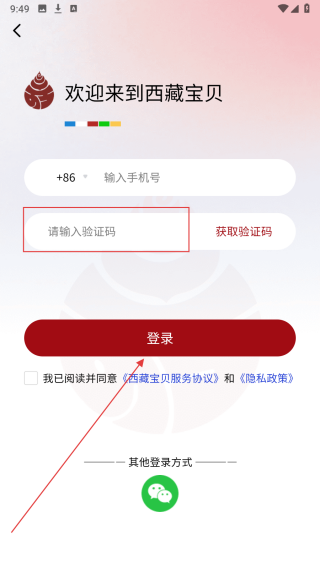 西藏宝贝
