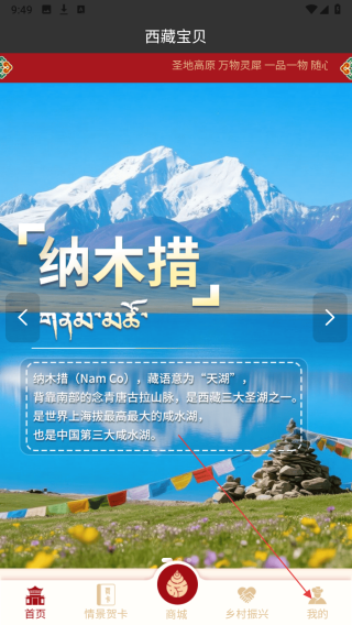 西藏宝贝