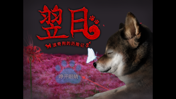 翌日波奇狗的历险记