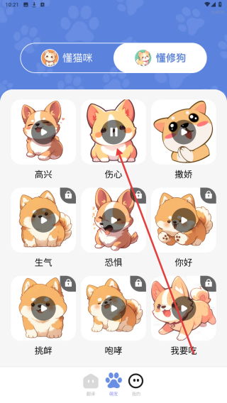 免费猫狗交流器