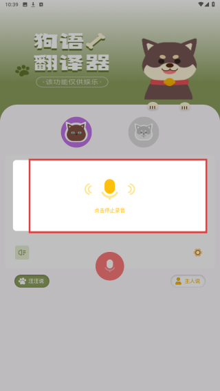 猫语翻译君
