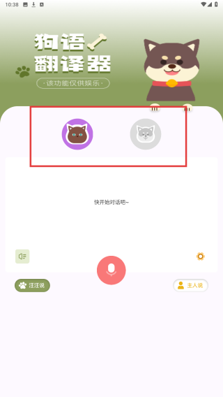 猫语翻译君