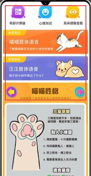 动物翻译王