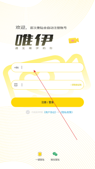 唯伊