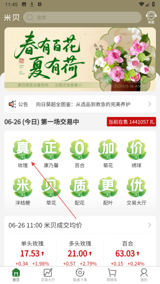 米贝