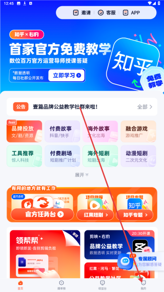 右豹