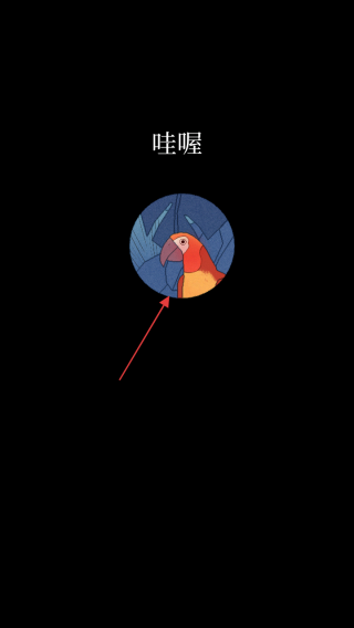 BirdAlone