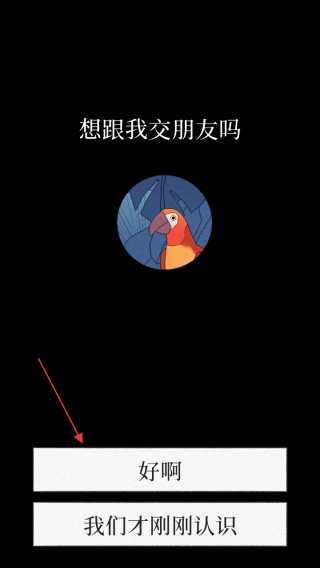 BirdAlone