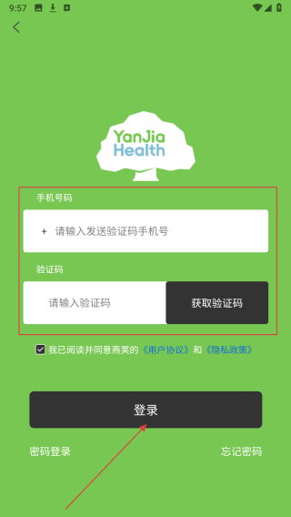 燕荚