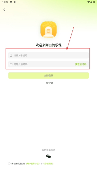 白鸽乐保