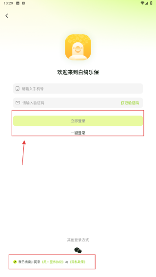 白鸽乐保