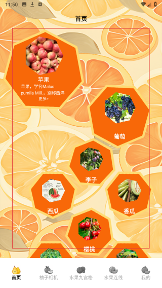 柚子快报告