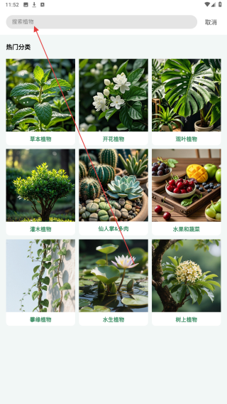 花草志