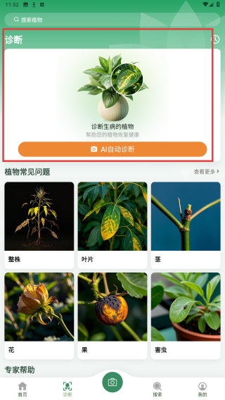 花草志
