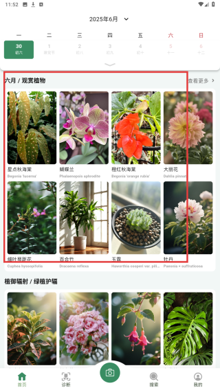 花草志