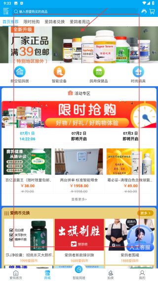 爱鸽者