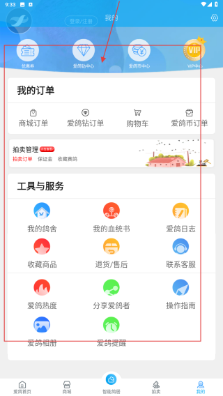 爱鸽者