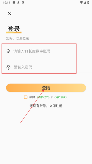 纸飞机飞