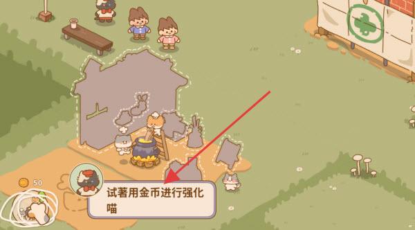 喵喵食谱日记