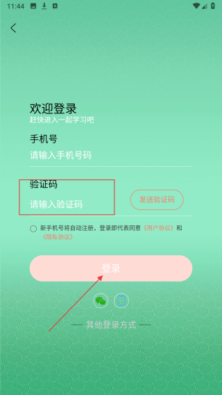 妙音每日经典