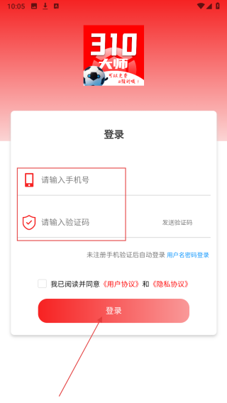 310大师