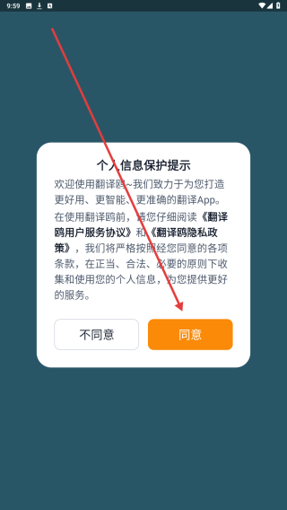 翻译鸥