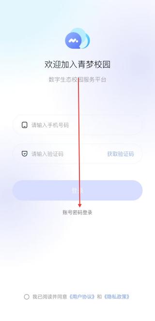 青梦校园
