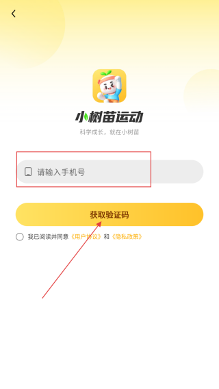小树苗运动